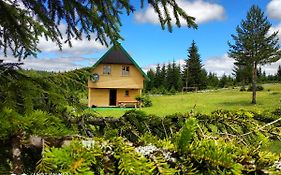 Eco House